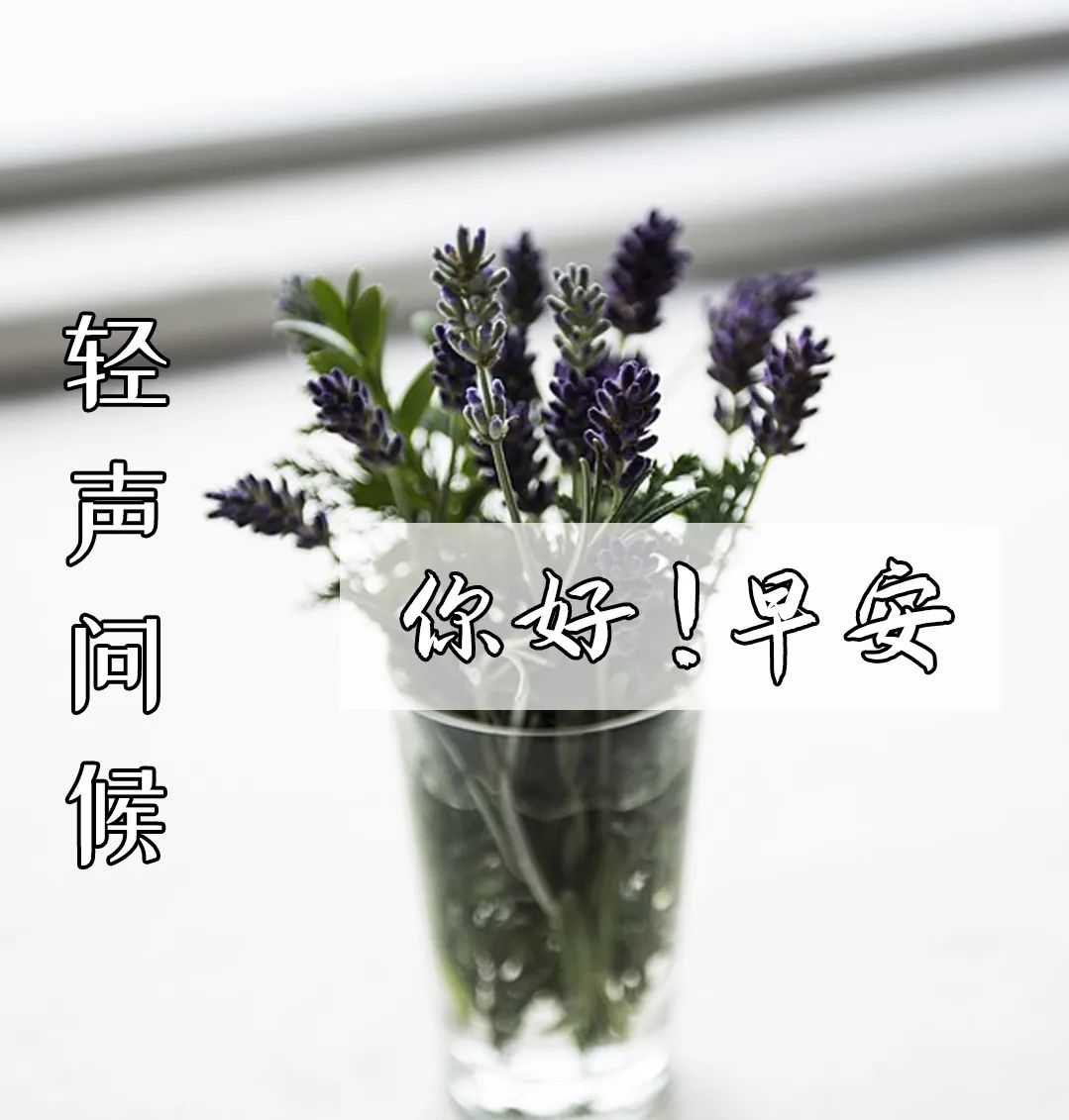 早安,早上好,上午好