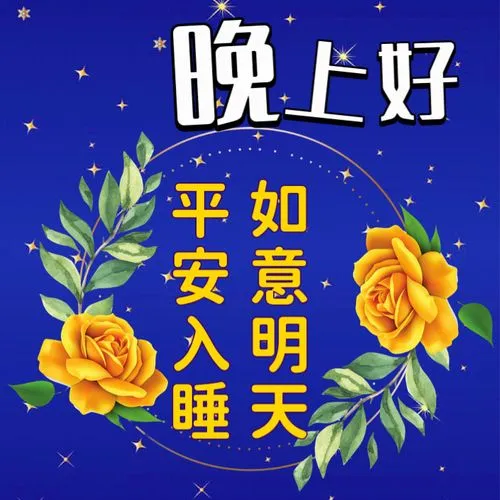 晚上好,晚安