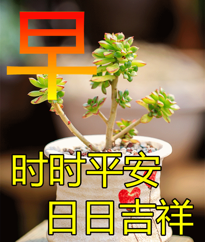 早安,早上好,上午好