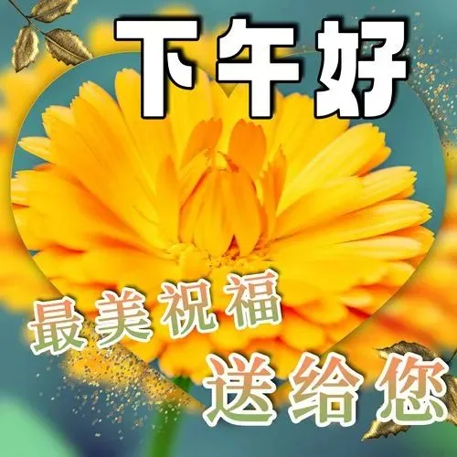 下午好