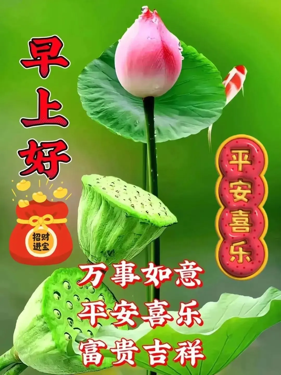 早安,早上好,上午好