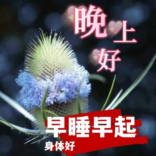 最新的晚上好祝福语、烦恼成空，今夜好梦