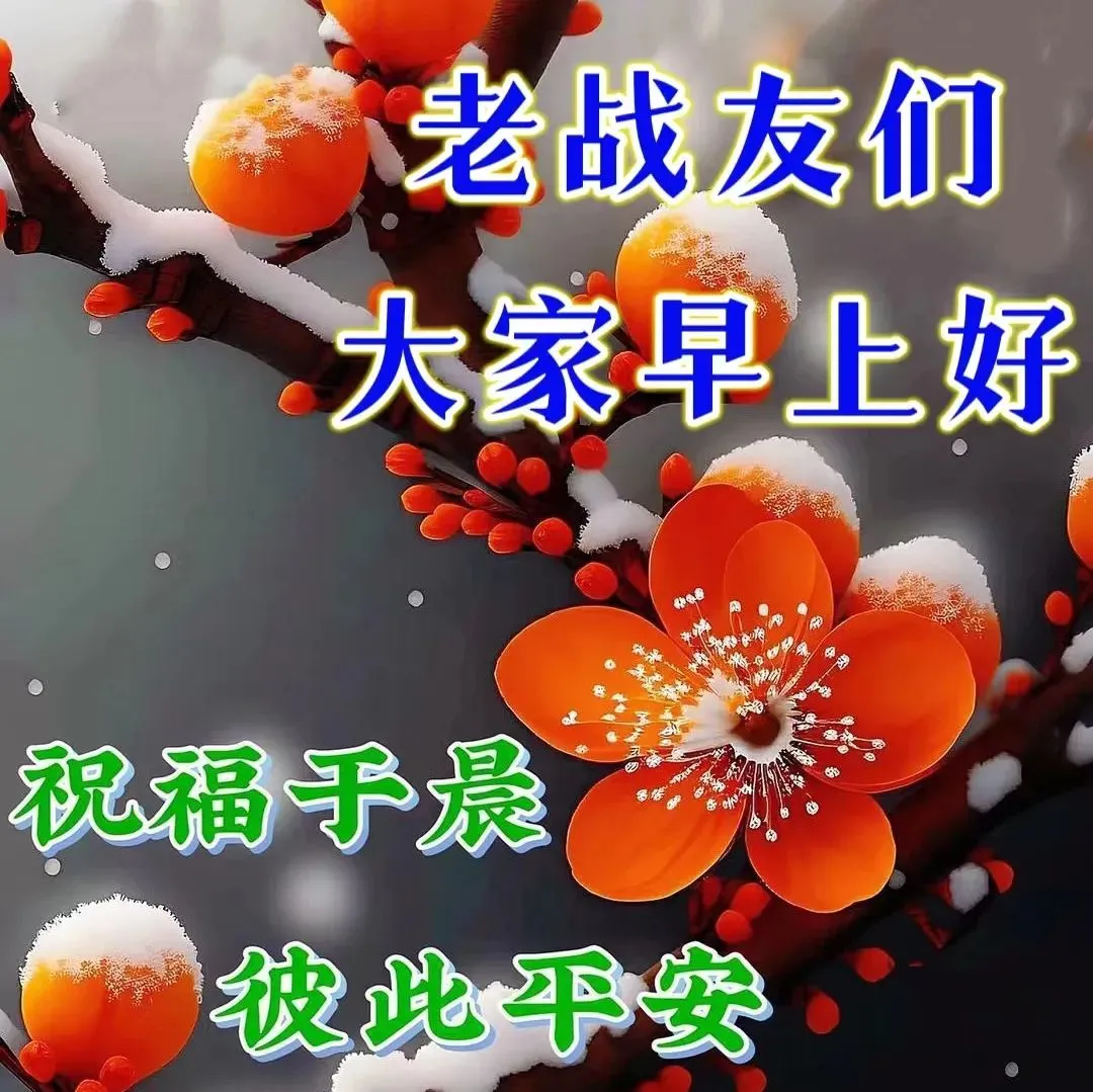 早安,早上好,上午好