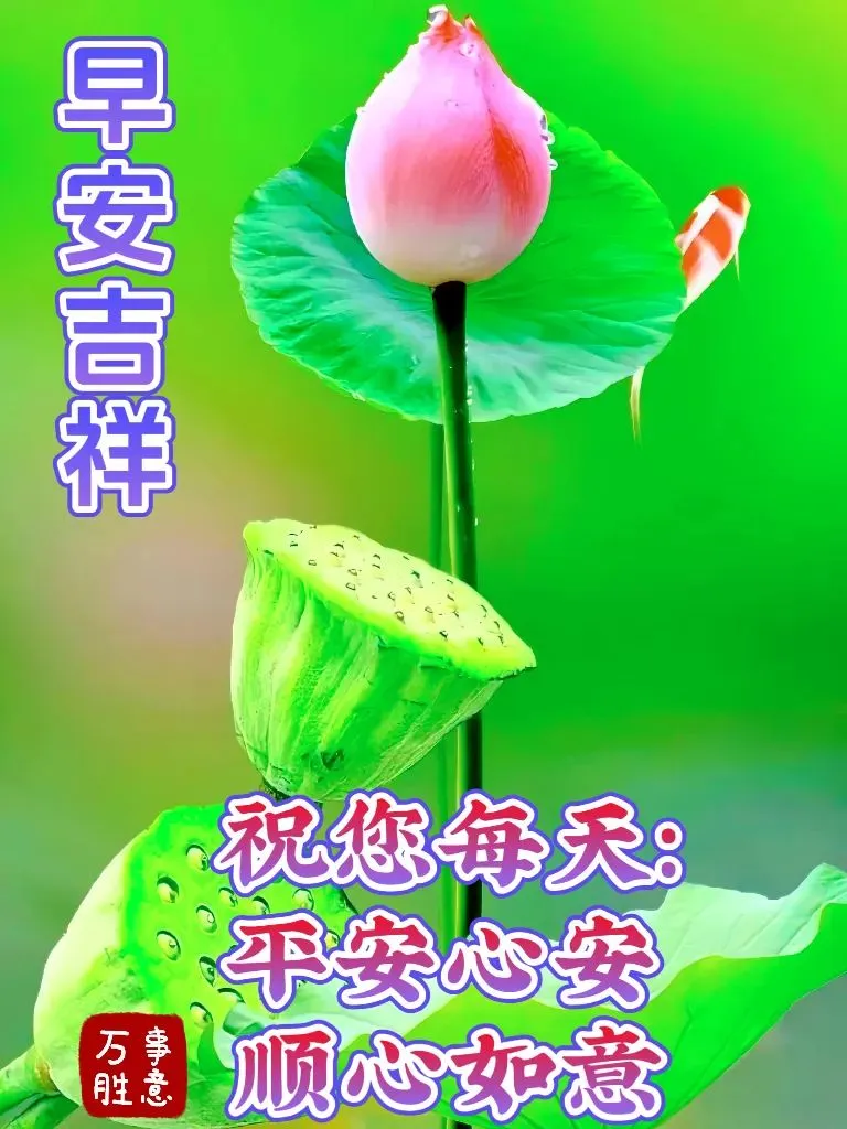 早安,早上好,上午好