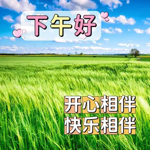 下午好