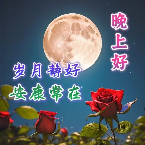 晚上好,晚安