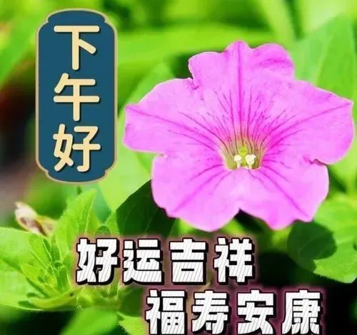 下午好