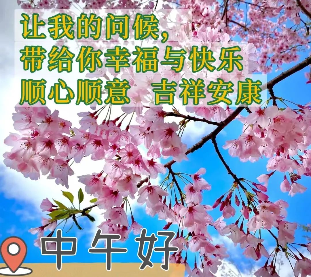 中午好,午安