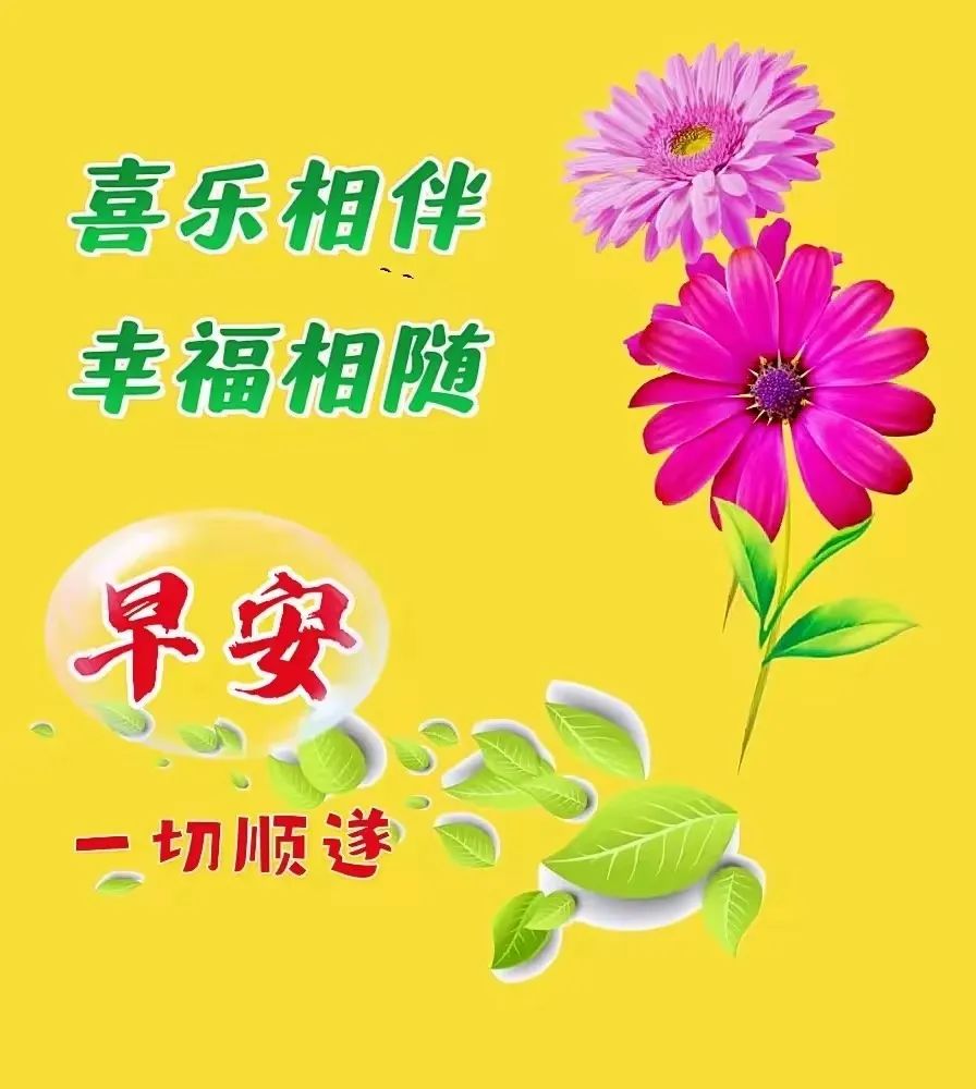 早安,早上好,上午好