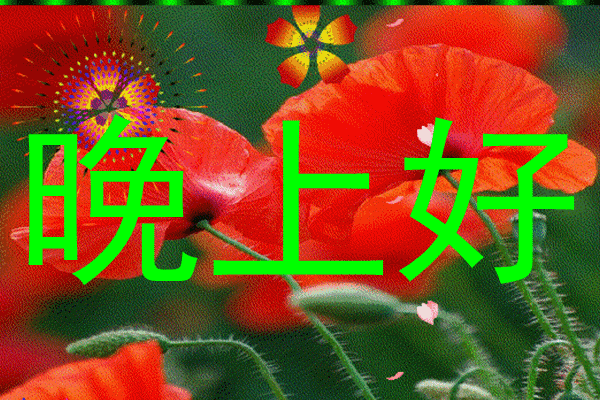 晚上好,晚安
