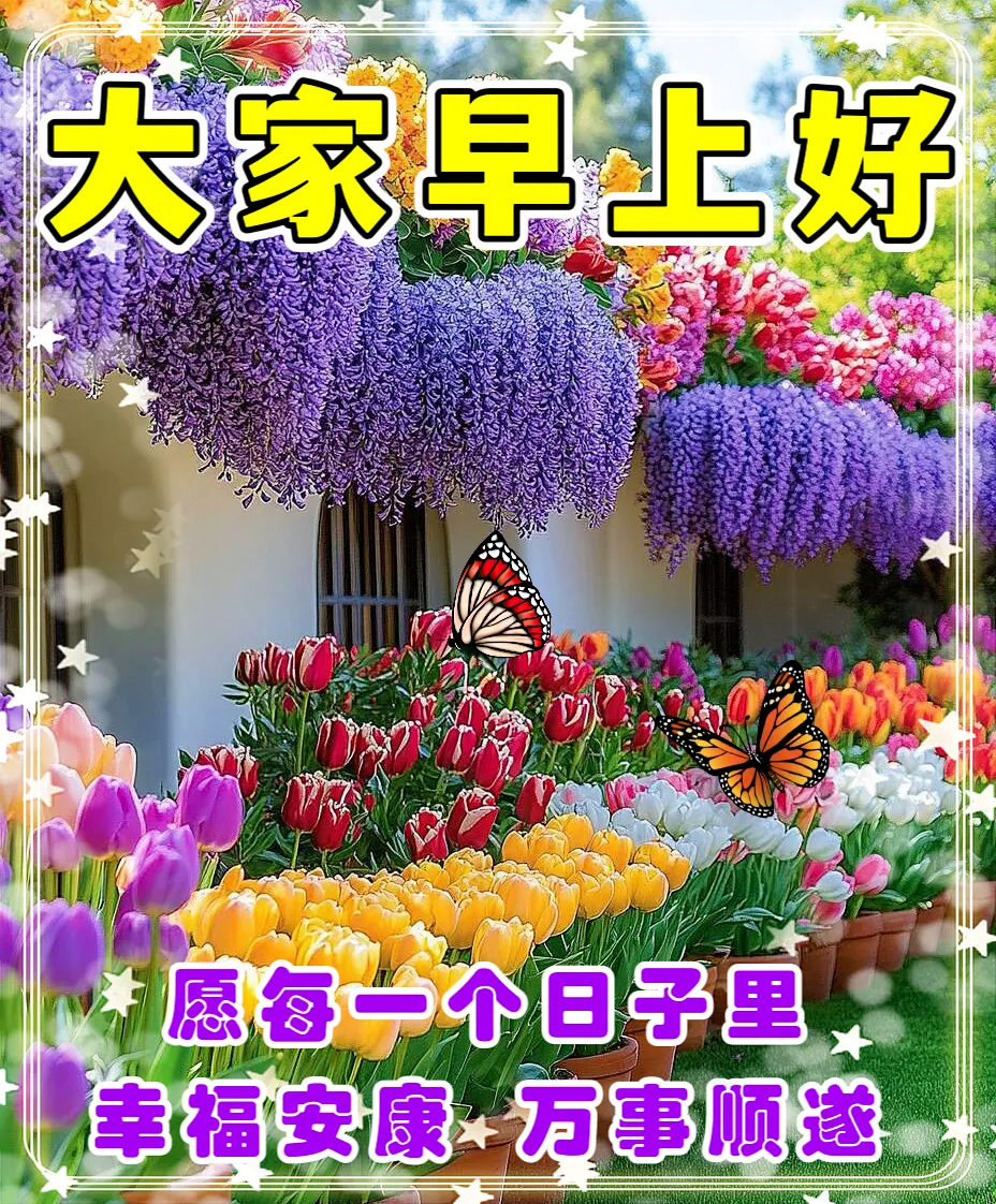 早安,早上好,上午好