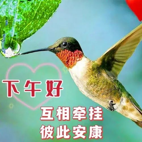 下午好