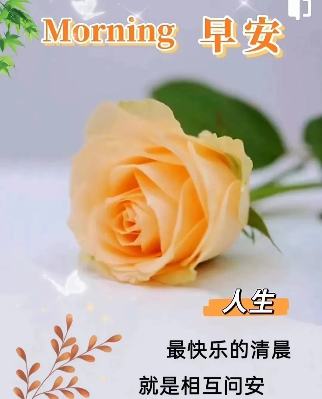 早安,早上好,上午好