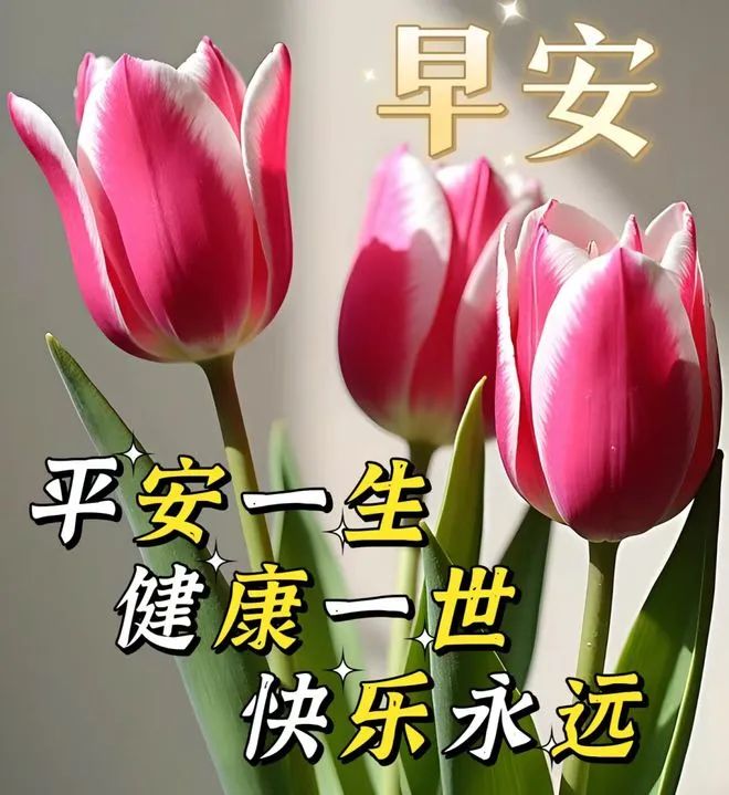 早安,早上好,上午好