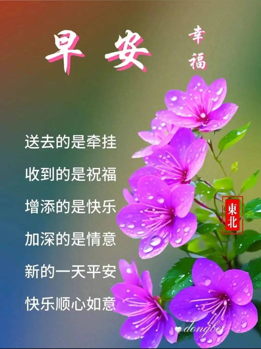 早安,早上好,上午好