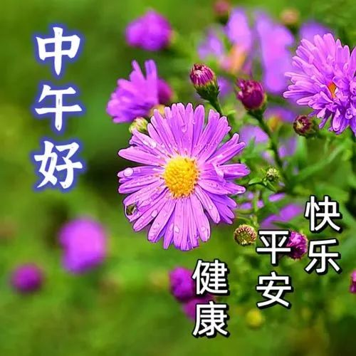 中午好,午安