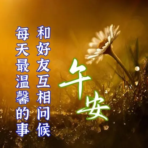 中午好,午安