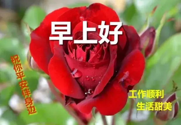 早安,早上好,上午好