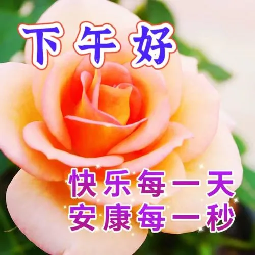 下午好