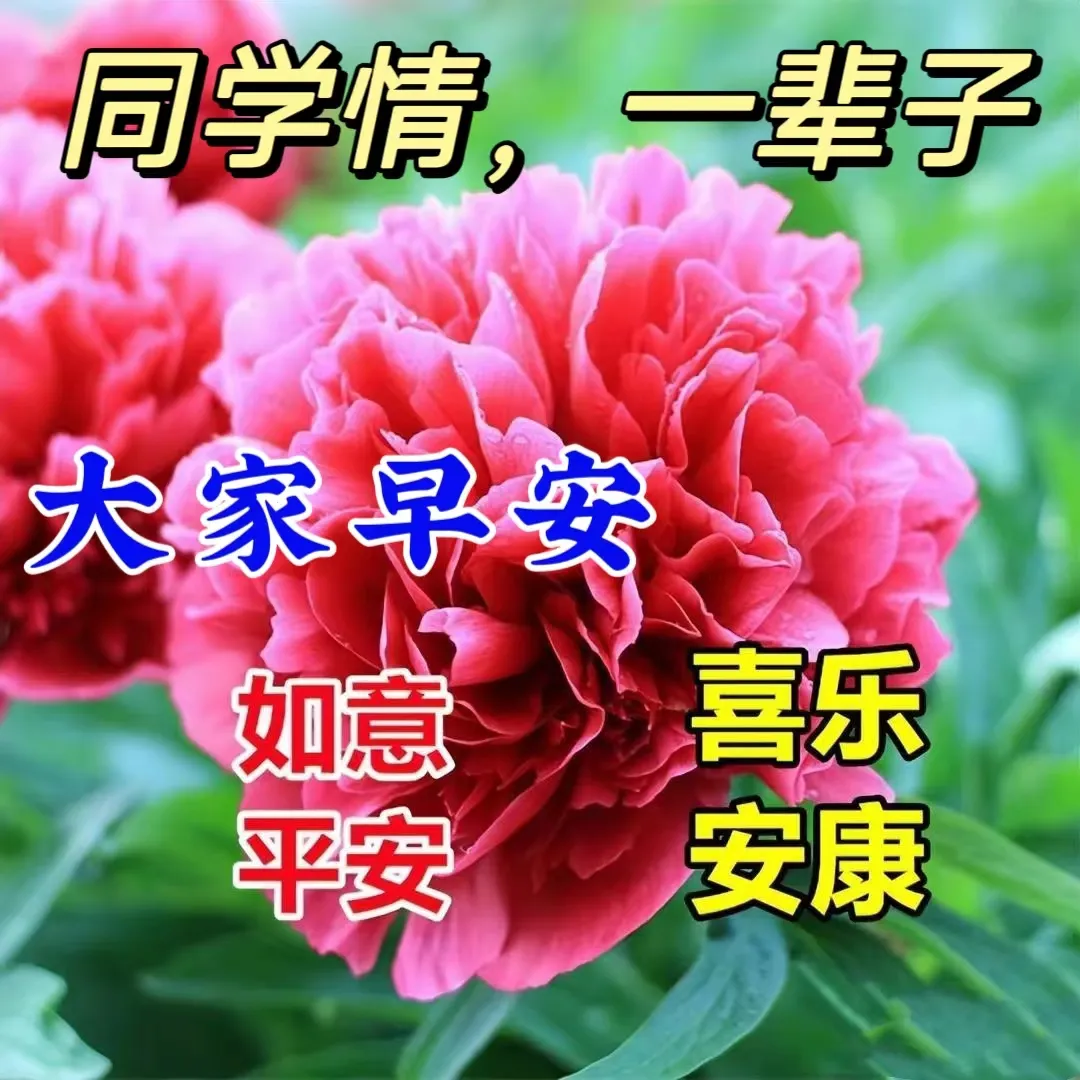 早安,早上好,上午好