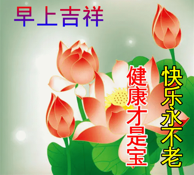 早安,早上好,上午好