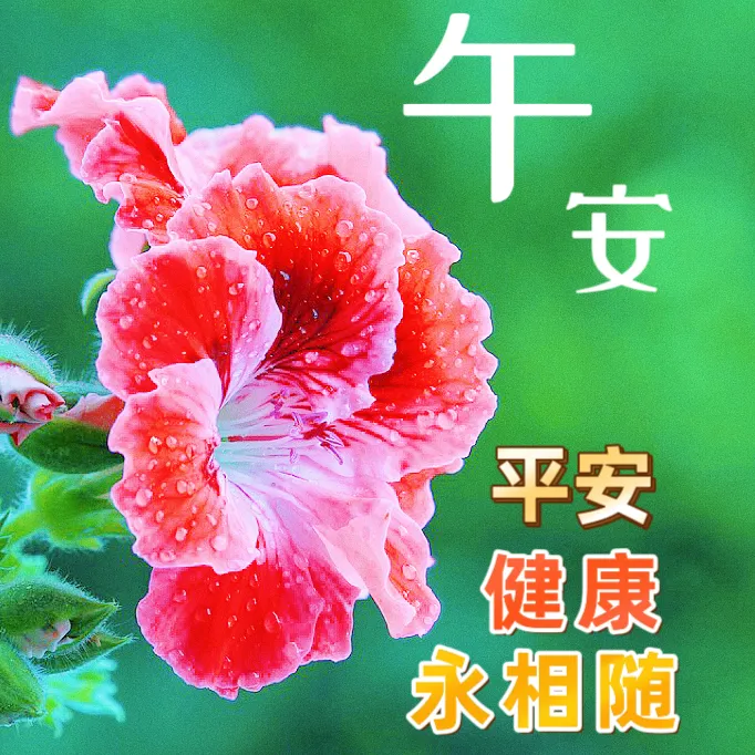 中午好,午安