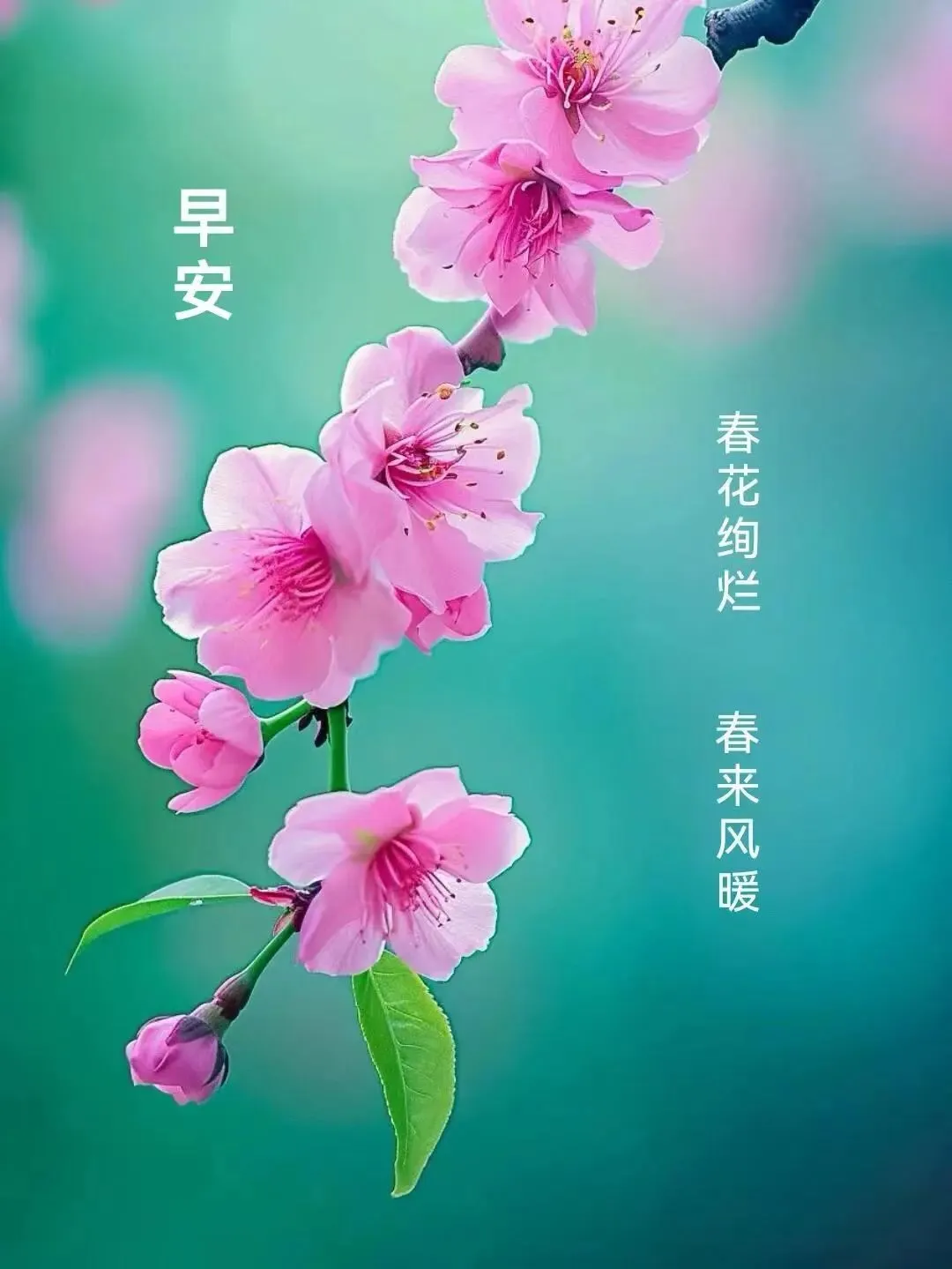 早安,早上好,上午好
