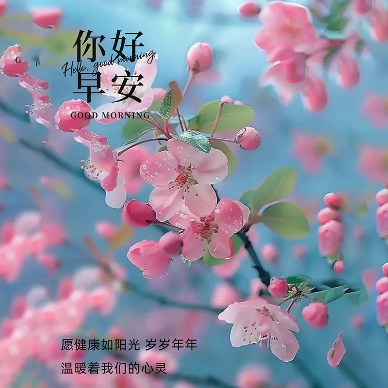 早安,早上好,上午好