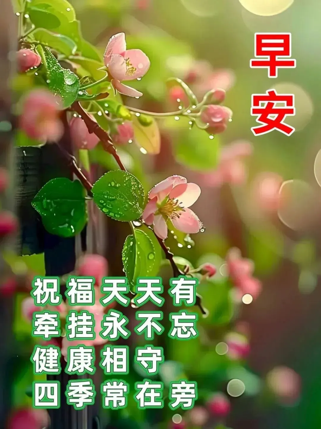 早安,早上好,上午好