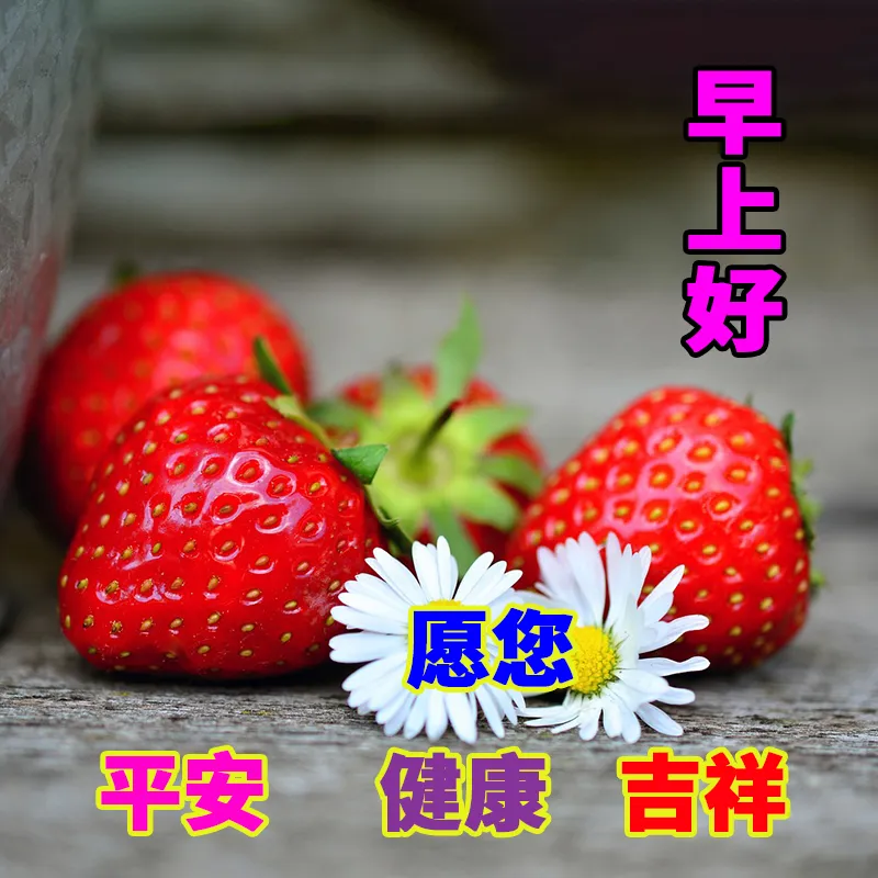 早安,早上好,上午好
