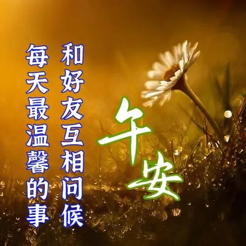 中午好,午安