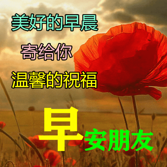早安,早上好,上午好