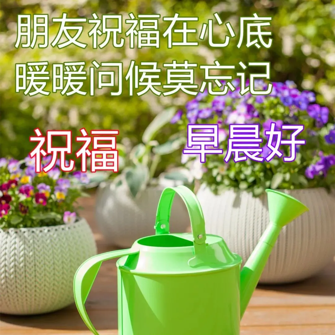 早安,早上好,上午好