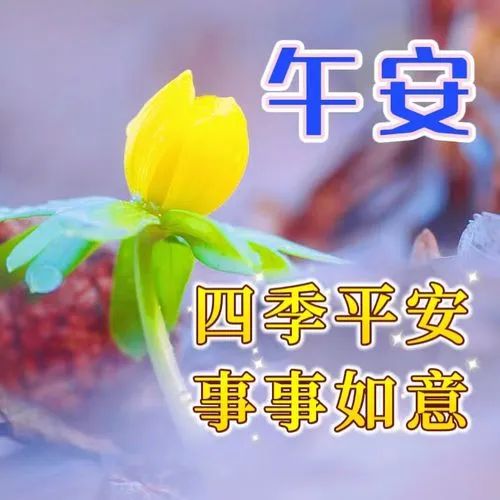 中午好,午安