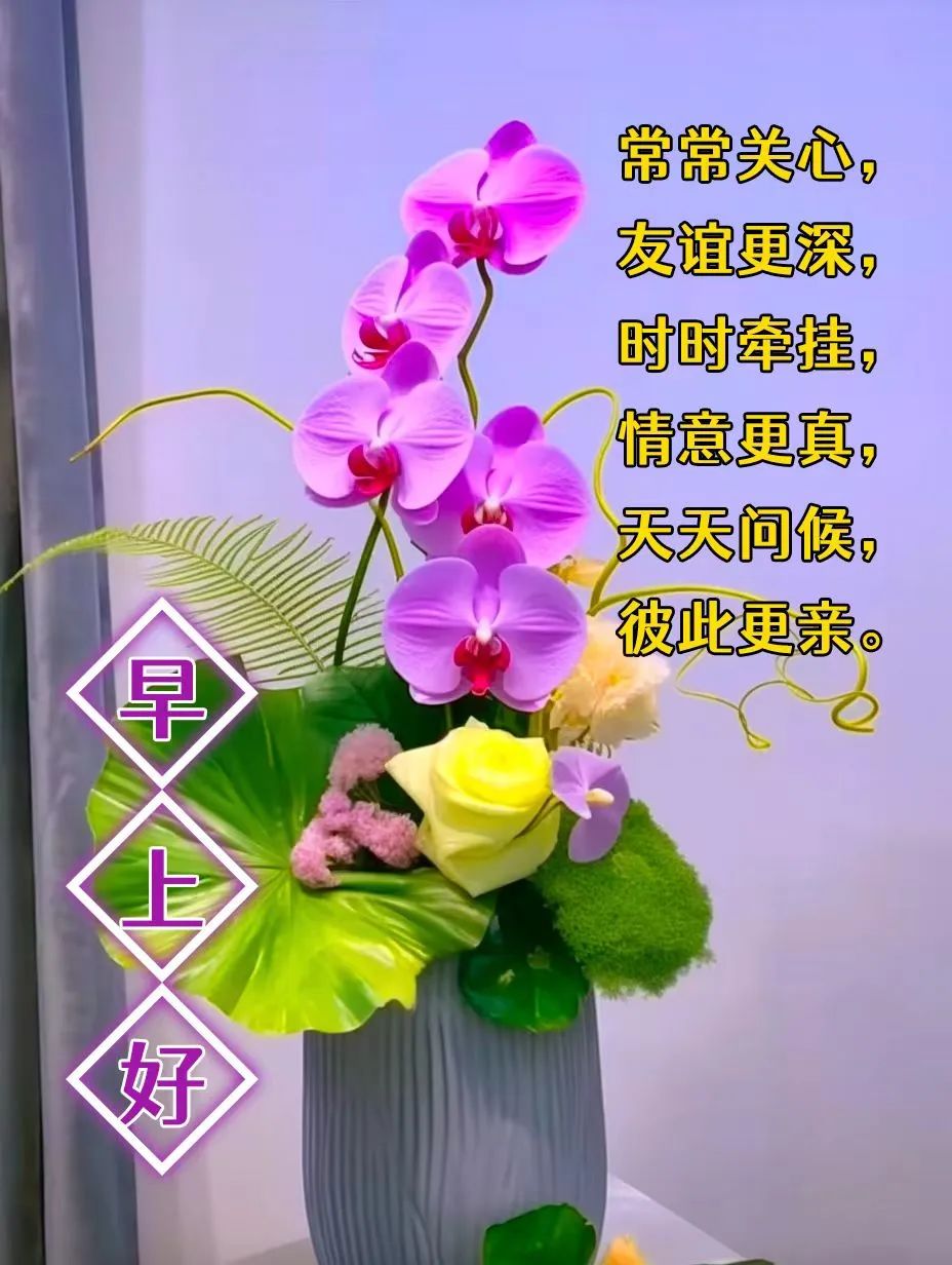 早安,早上好,上午好