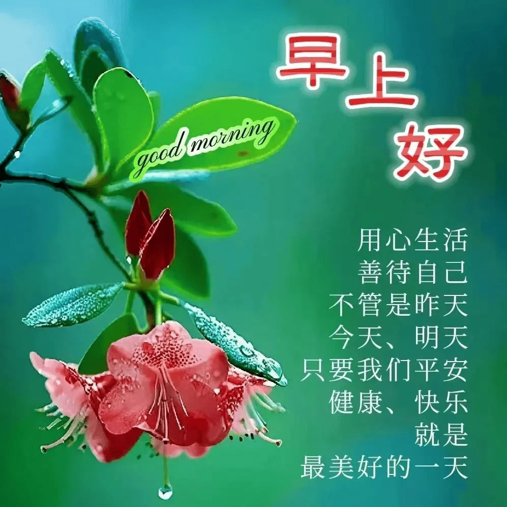早安,早上好,上午好