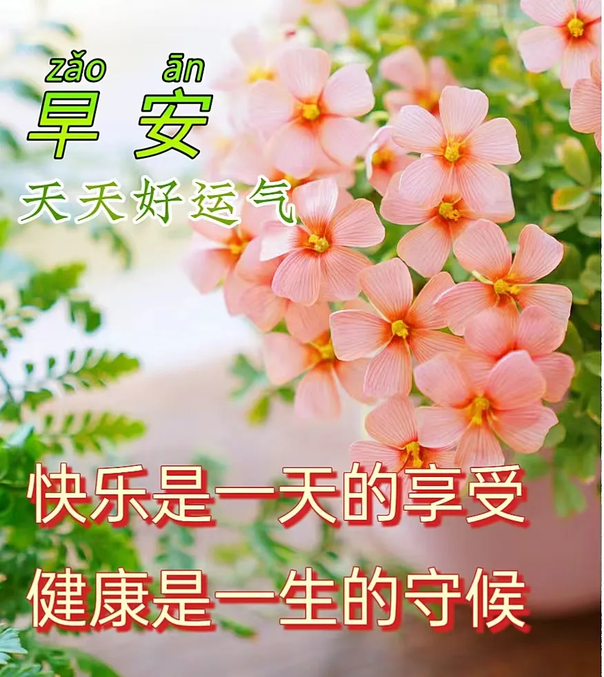 早安,早上好,上午好