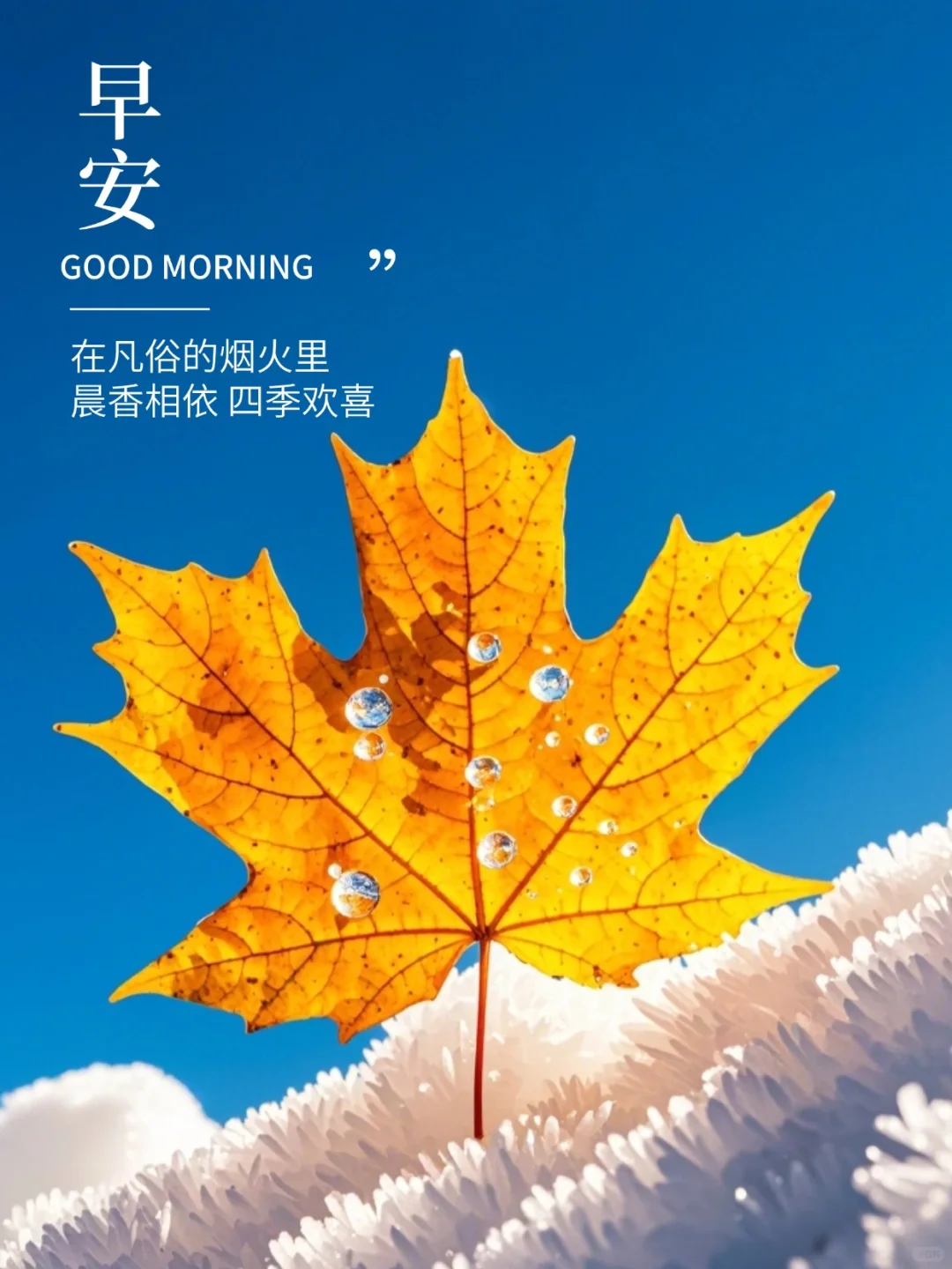 早安,早上好,上午好