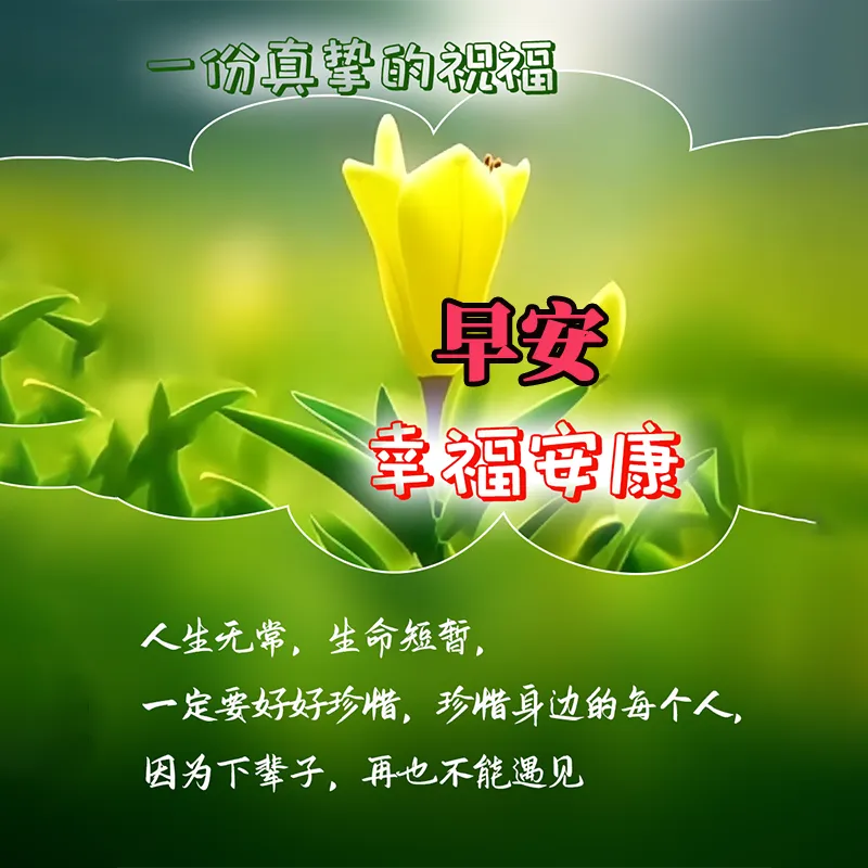 早安,早上好,上午好
