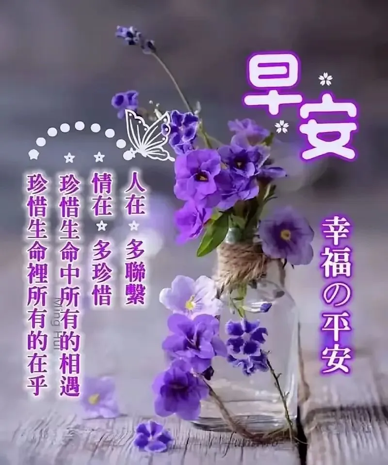 早安,早上好,上午好