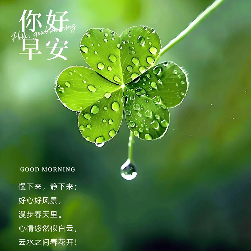 早安,早上好,上午好