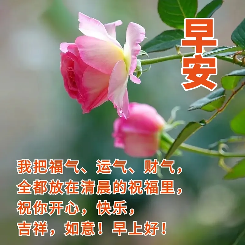 早安,早上好