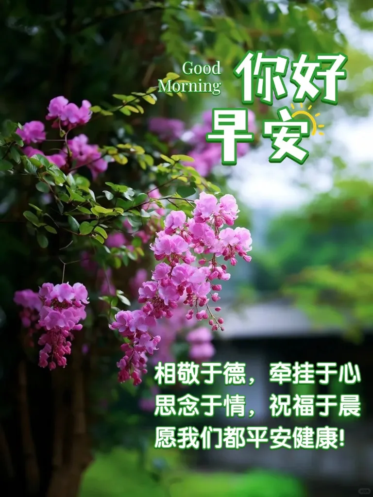 早安,早上好,上午好