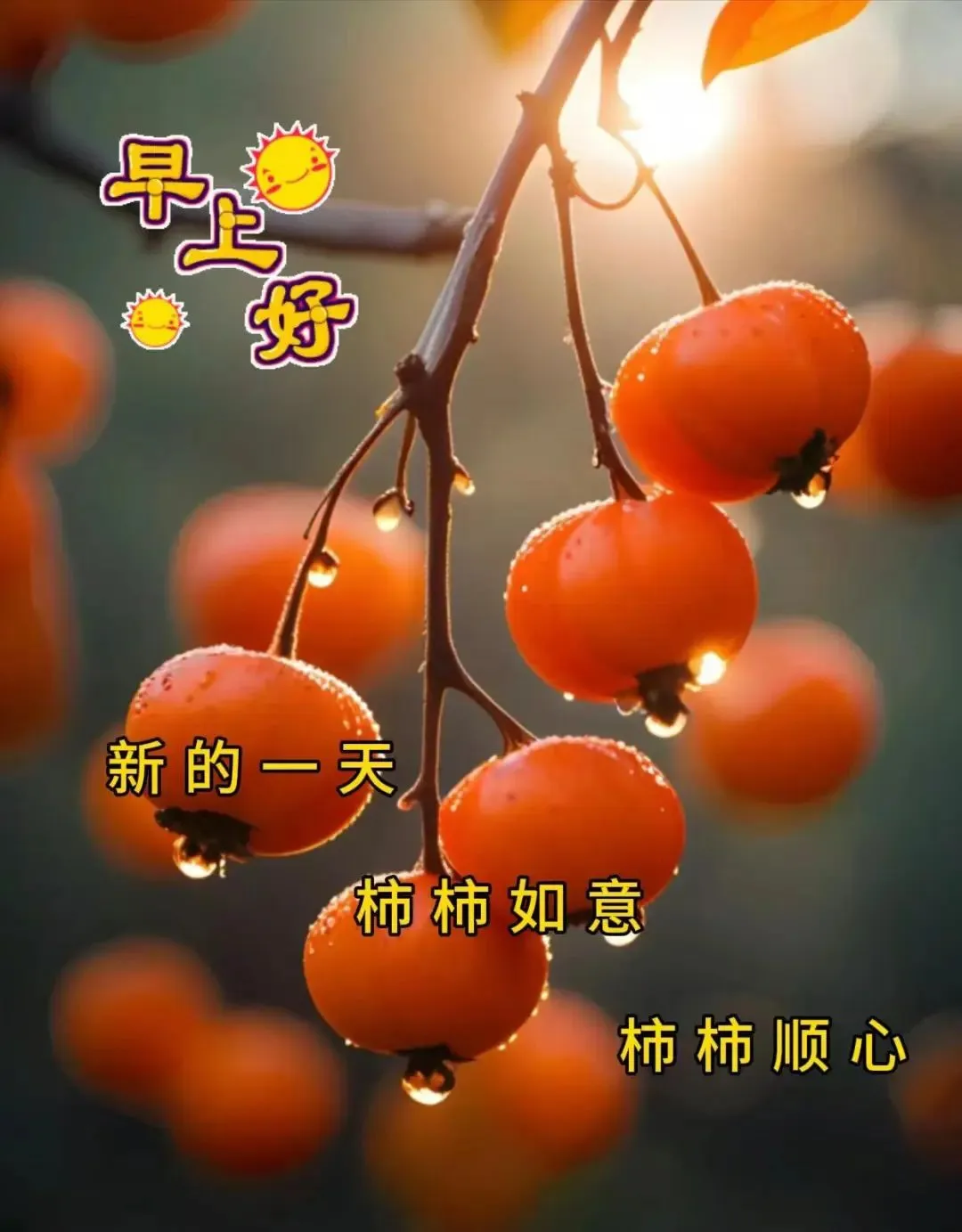 早安,早上好,上午好