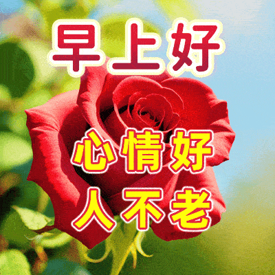 早安,早上好,上午好