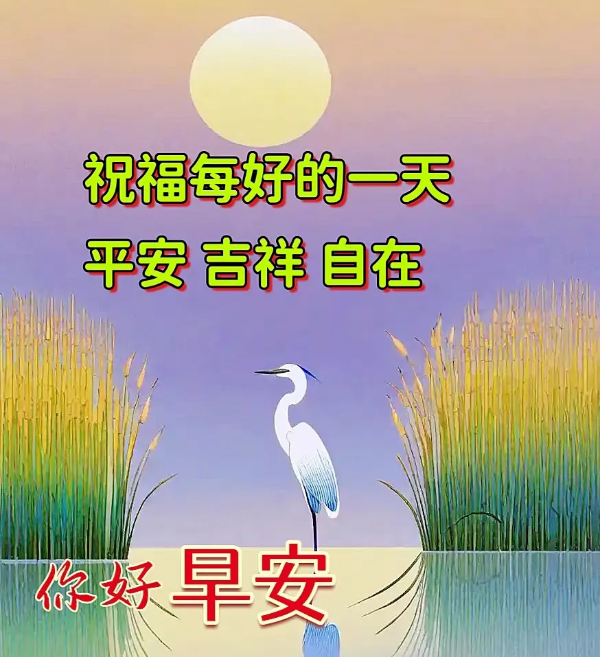 早安,早上好,上午好