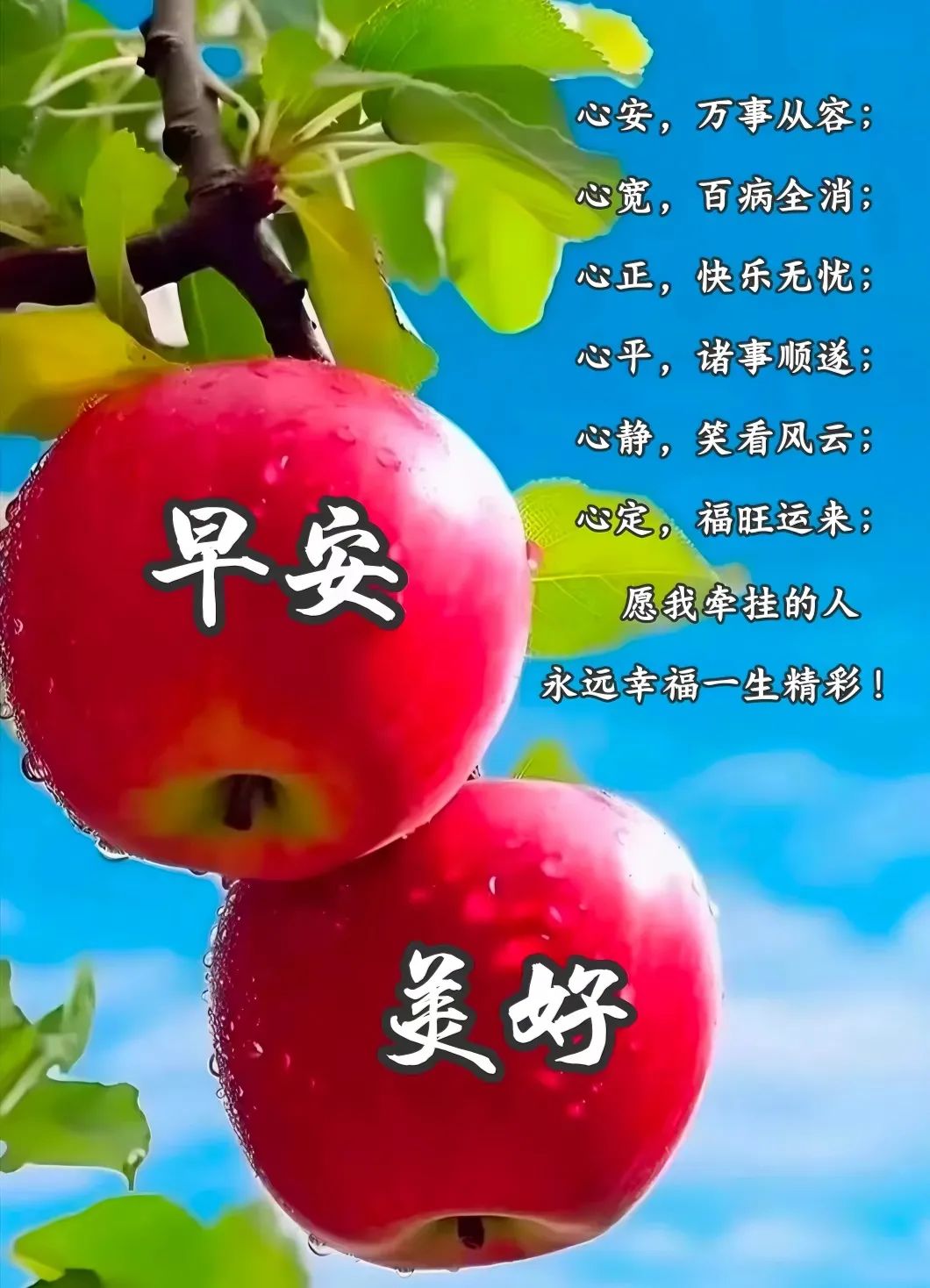 早安,早上好,上午好