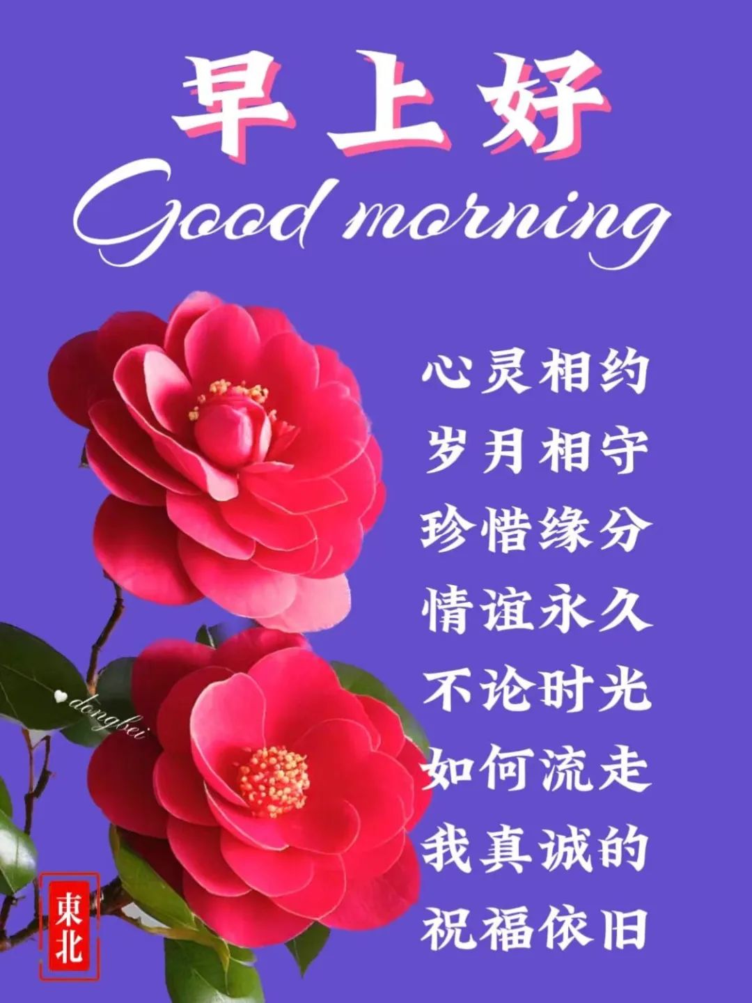 早安,早上好,上午好