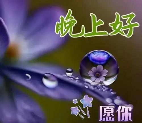 晚上好,晚安