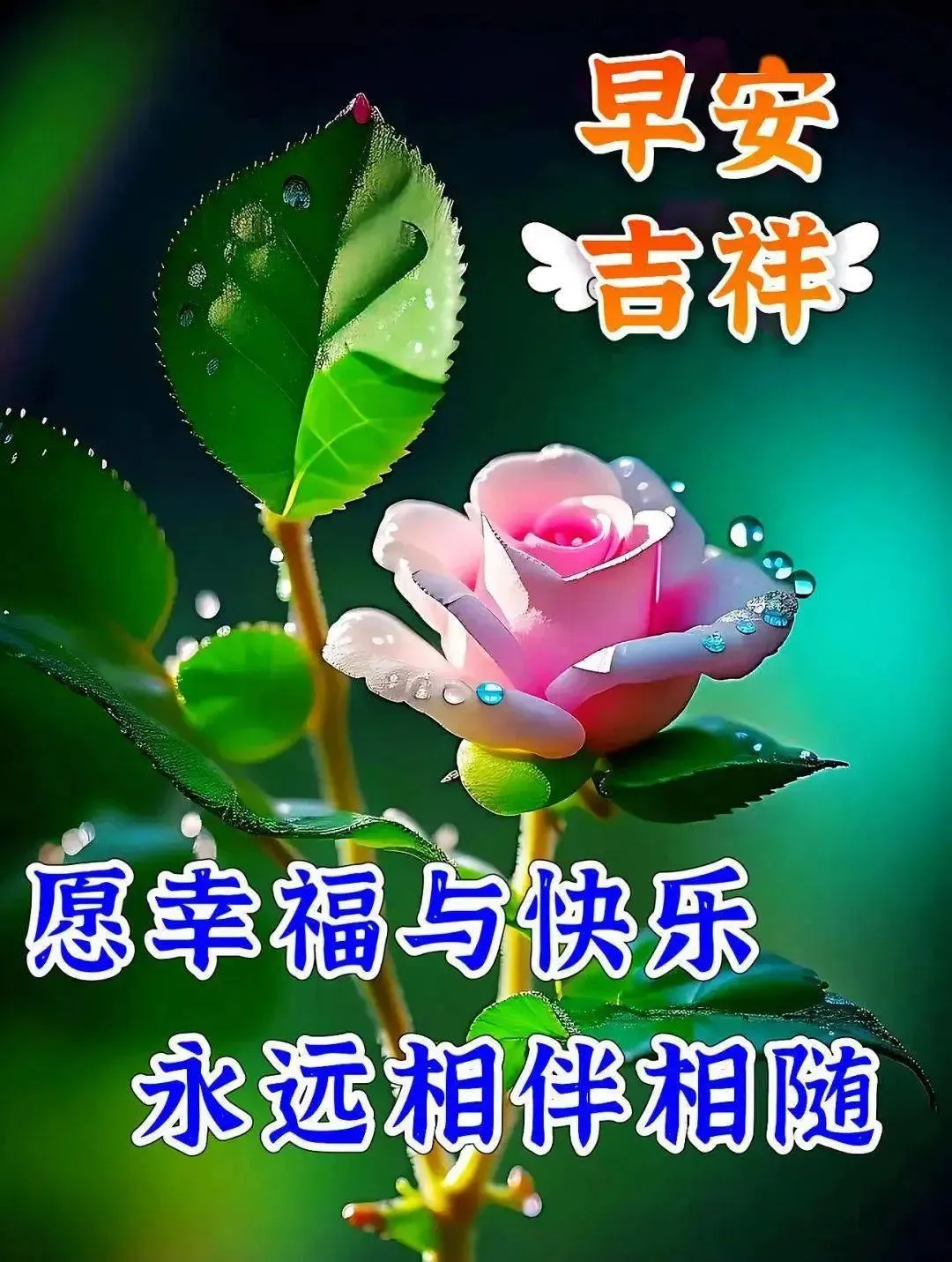 早安,早上好,上午好